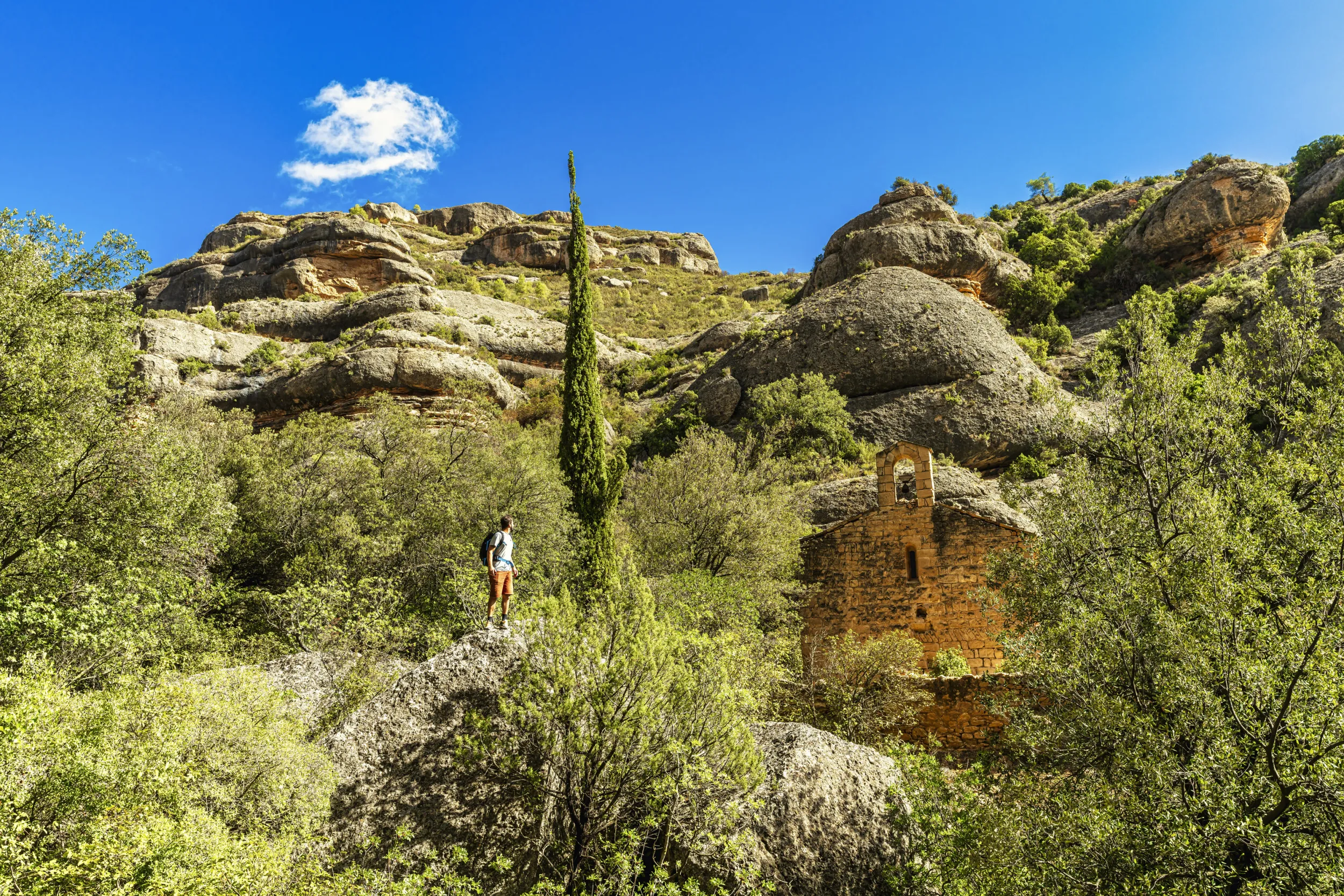 vista-sant-bartomeu-fraguerau
