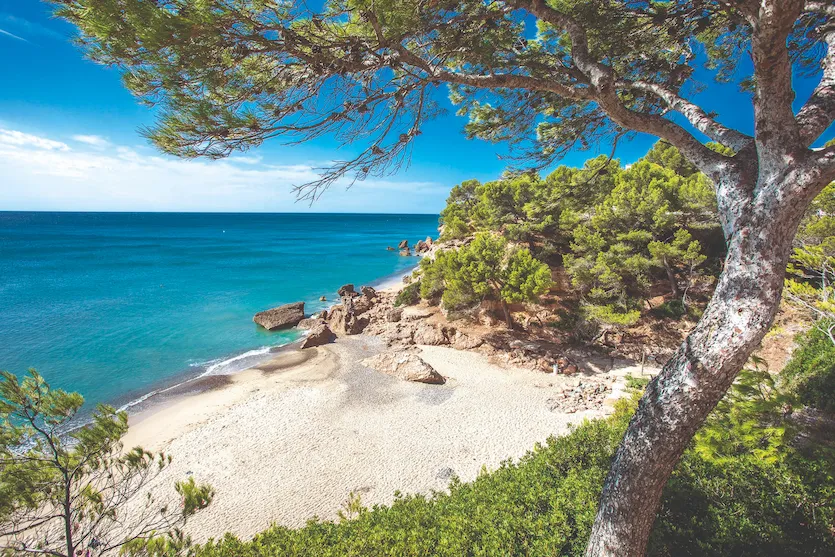 cala-california