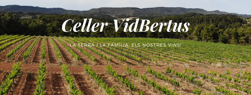 Celler Vidbertus