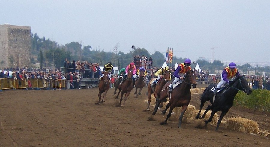 Visites, curses de cavalls i festivals a Vila-seca