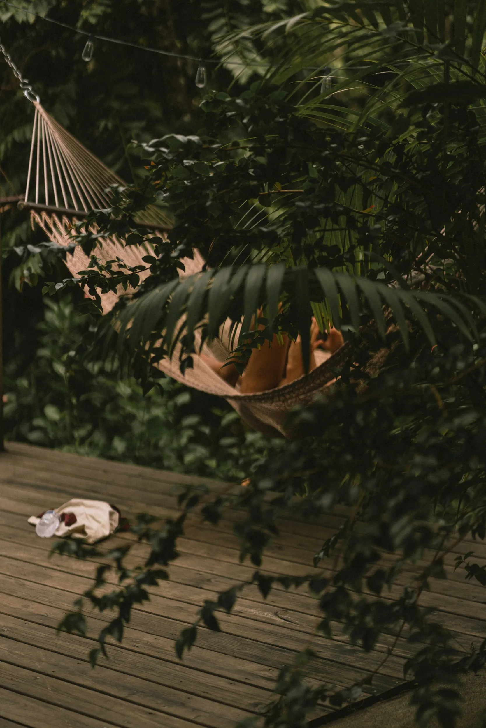 espacio-jardin-bienestar