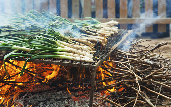 Gran festa de la calçotada