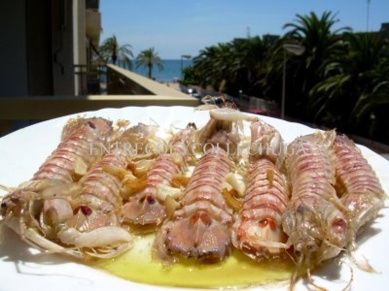 Jornades de la Galera