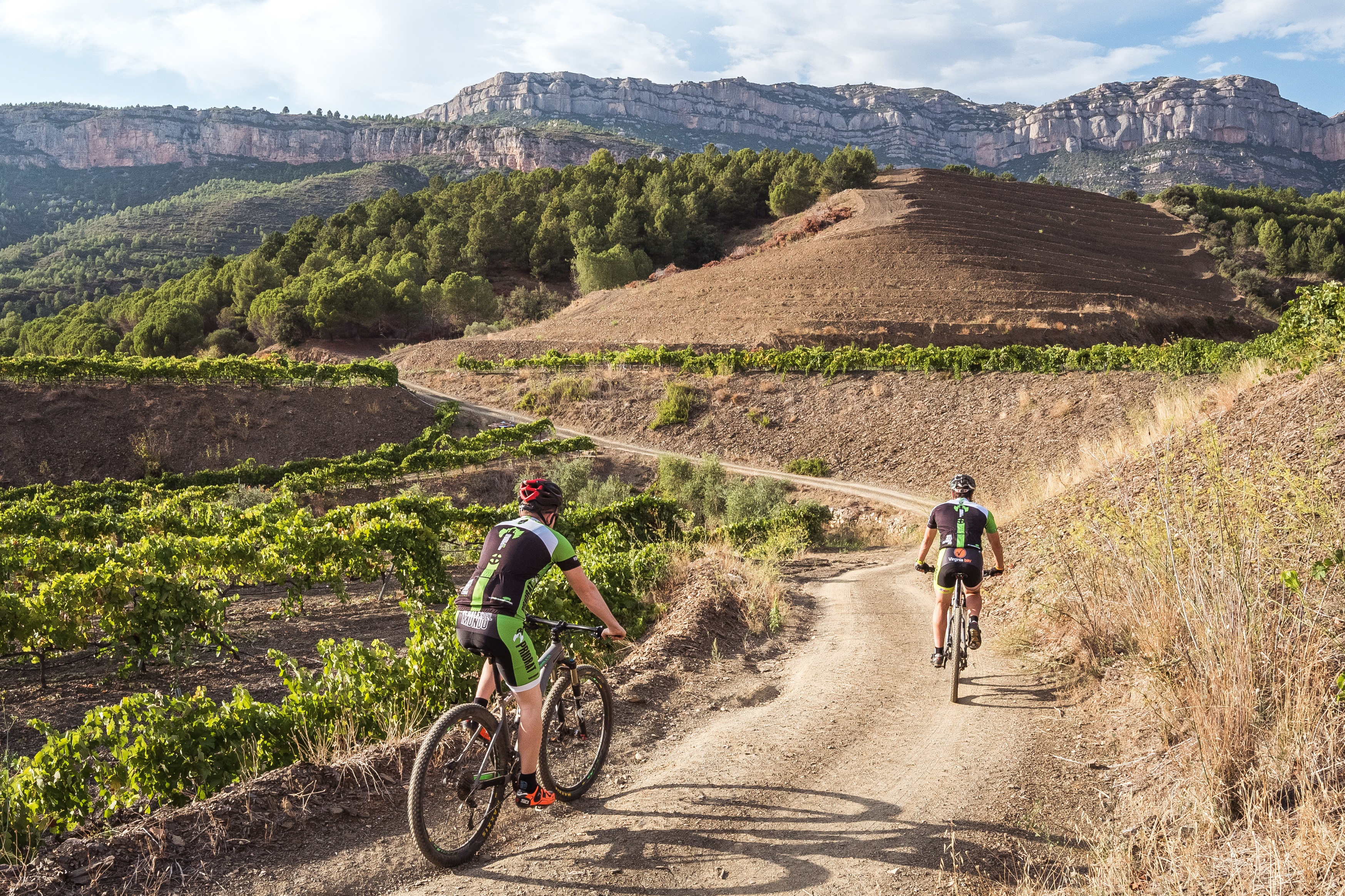Pedals del Priorat