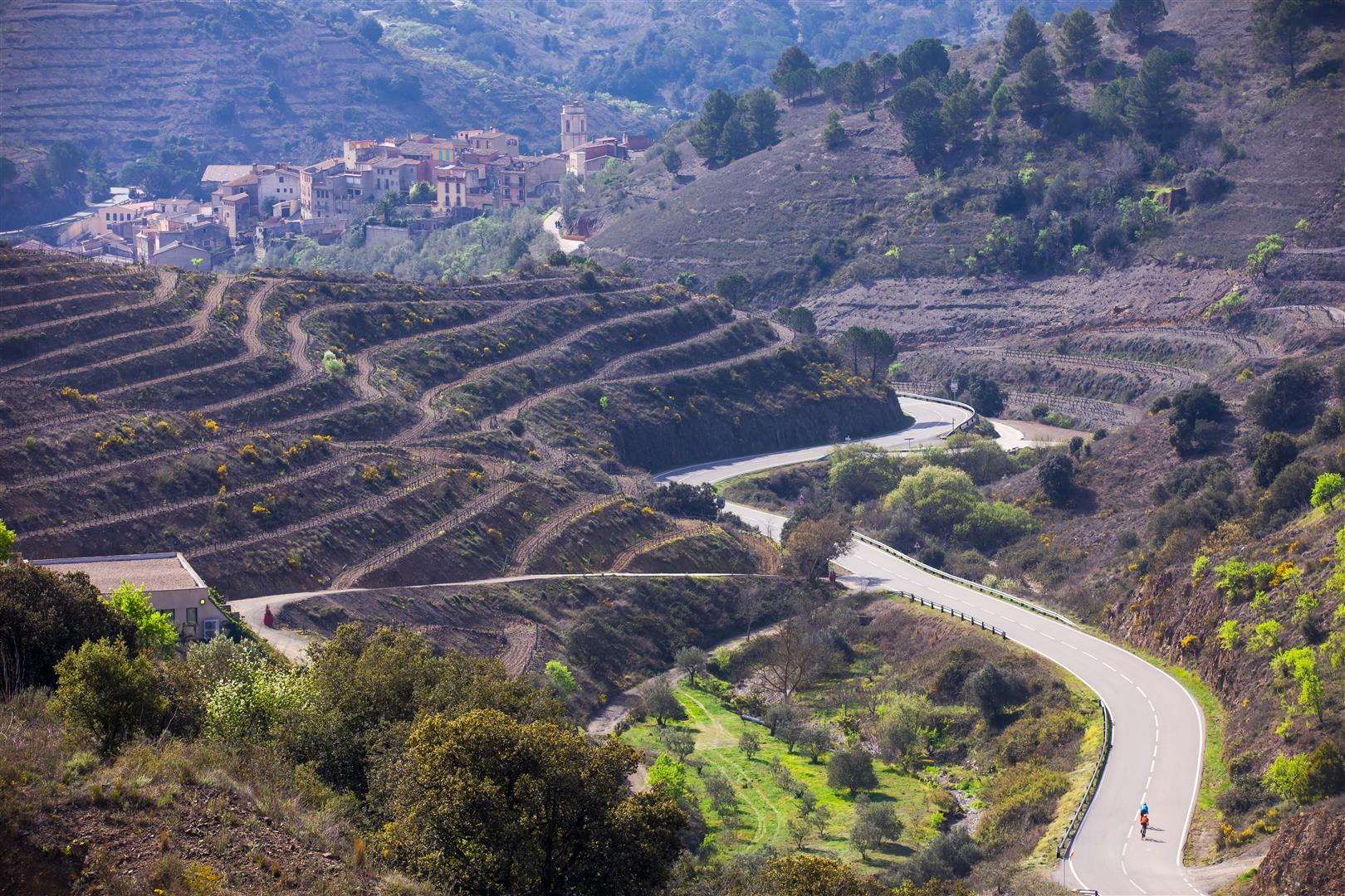 Porrera
