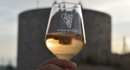 Fiesta del Trepat de Barberà de la Conca