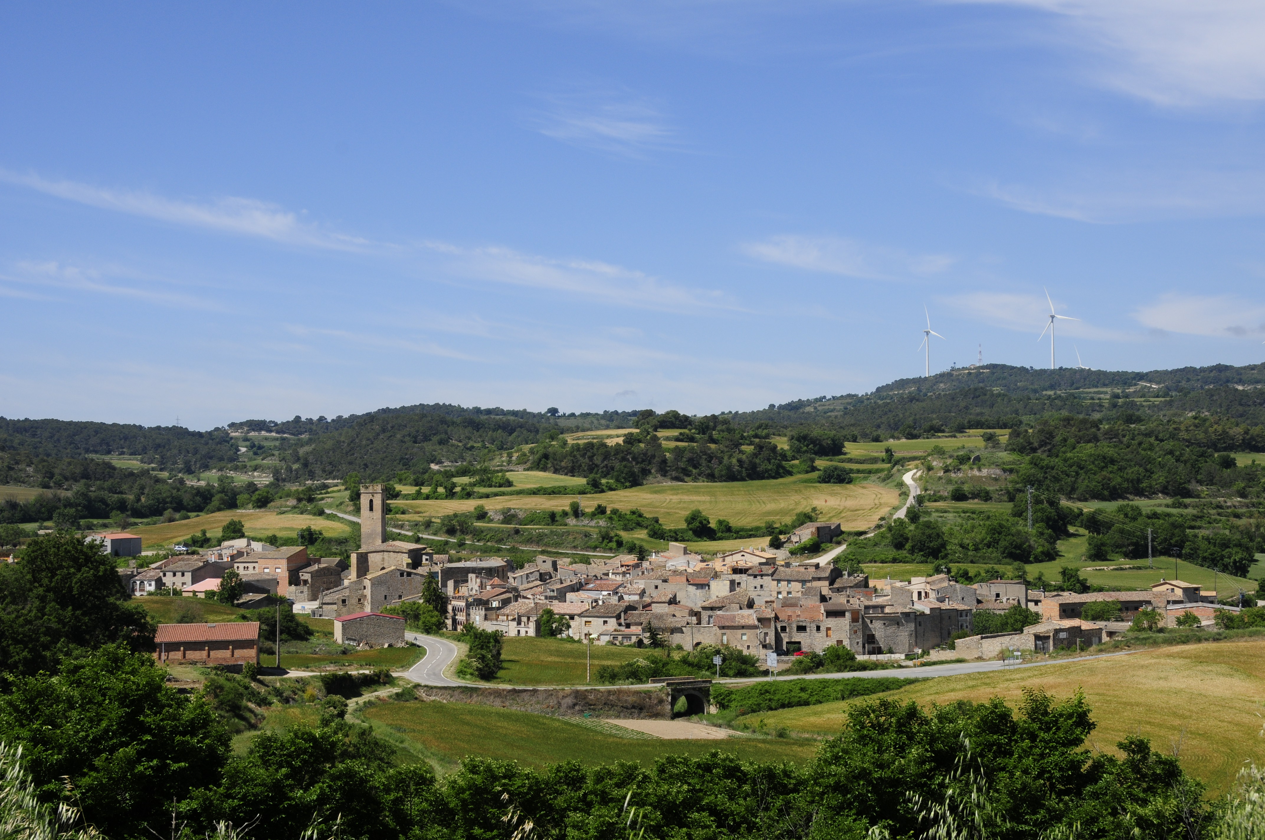Conesa